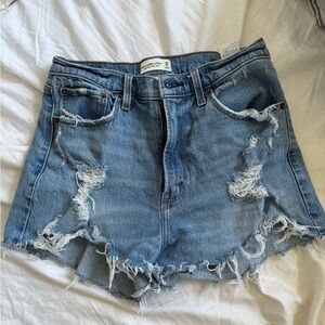 Abercrombie & Fitch Curve Love High Rise Mom Short 10/30
